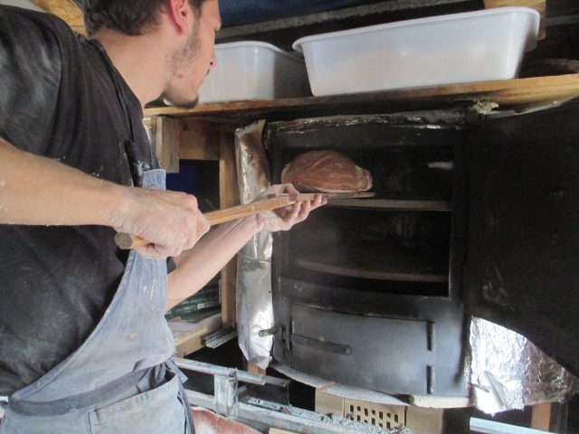 Photo du four léger à bois modifié par Paul : un ami de Paul défourne le pain. 